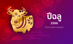 ดูดวงจีน 12 นักษัตร ปี 2566 (ปีฉลู)