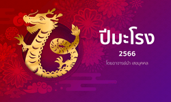 ดูดวงจีน 12 นักษัตร ปี 2566 (ปีมะโรง)