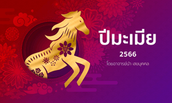 ดูดวงจีน 12 นักษัตร ปี 2566 (ปีมะเมีย)