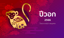 ดูดวงจีน 12 นักษัตร ปี 2566 (ปีวอก)