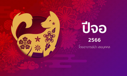 ดูดวงจีน 12 นักษัตร ปี 2566 (ปีจอ)