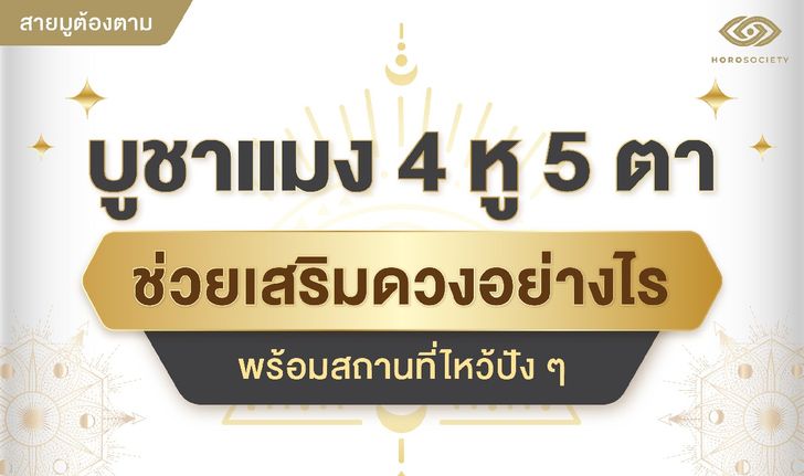 บูชาแมง 4 หู 5 ตา ช่วยเสริมดวงอย่างไร พร้อมสถานที่ไหว้ปังๆ