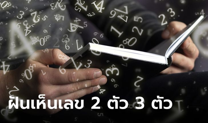 ฝันเห็นเลข 2 ตัว 3 ตัว มีคำทำนายฝันว่าอย่างไร พร้อมเลขเด็ด