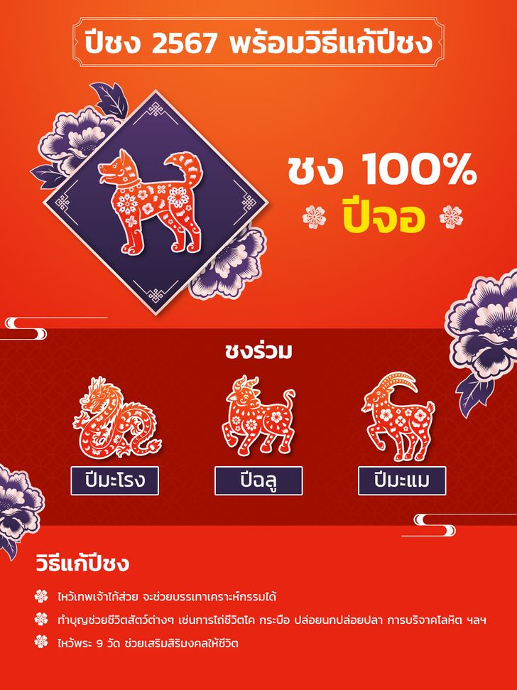 ปีชง 2567 มีปีนักษัตรอะไรบ้าง พร้อมวิธีแก้ปีชง ให้แคล้วคลาดปลอดภัย