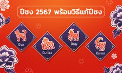 ปีชง 2567 มีปีนักษัตรอะไรบ้าง พร้อมวิธีแก้ปีชง ให้แคล้วคลาดปลอดภัย