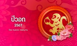 ดูดวงจีน 12 นักษัตร ปี 2567 (ปีวอก)