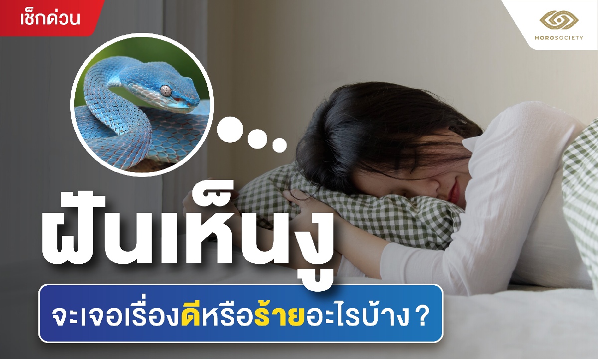 ฝันเห็นงู จะเจอเรื่องดีหรือร้ายอะไรบ้าง?