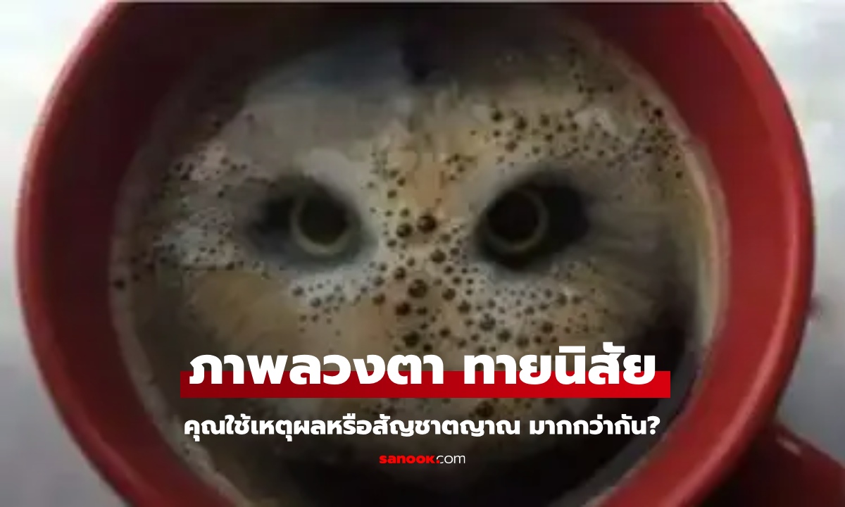 ภาพลวงตา เผยนิสัยจากสิ่งแรกที่คุณเห็น "นกฮูก" หรือ "กาแฟ"?