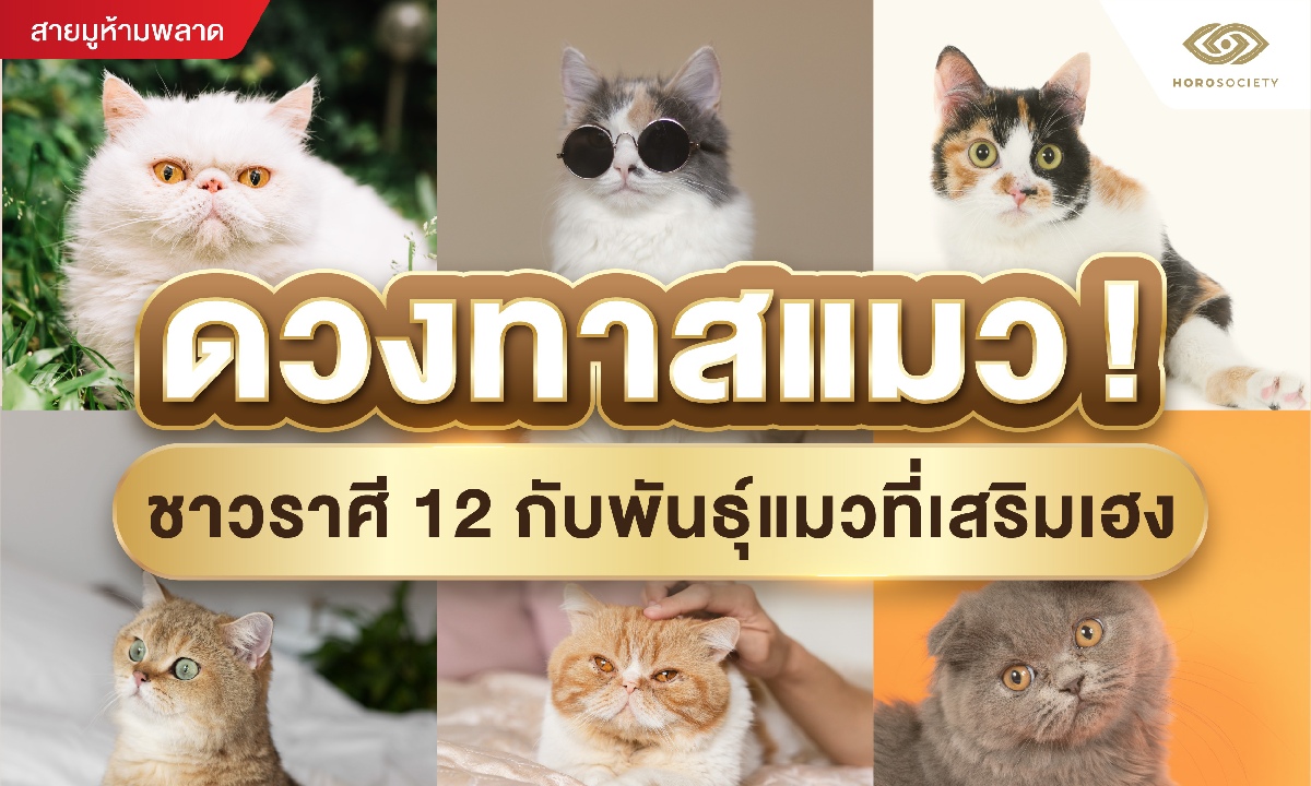 ดวงทาสแมว! ชาวราศี 12 กับพันธุ์แมวที่เสริมเฮง