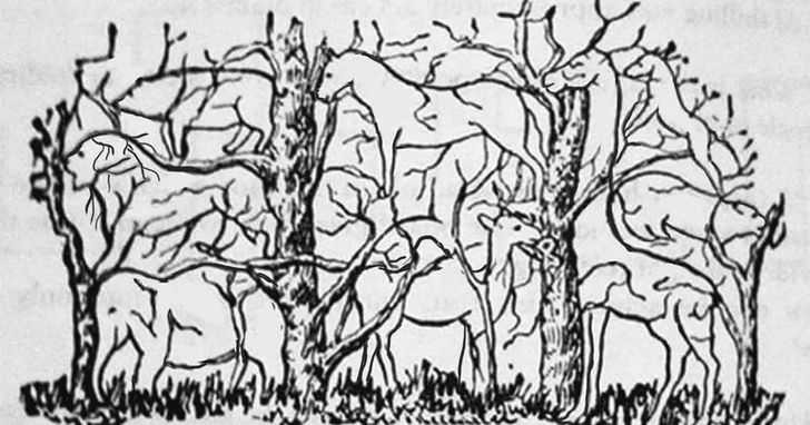 ภาพลวงตาทายนิสัย