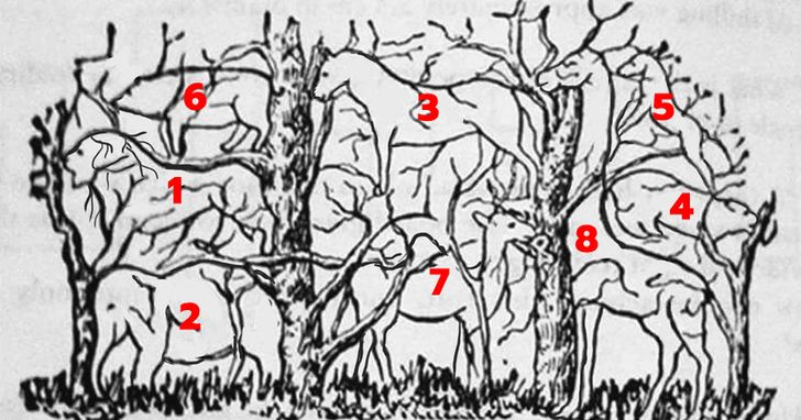 ภาพลวงตาทายนิสัย