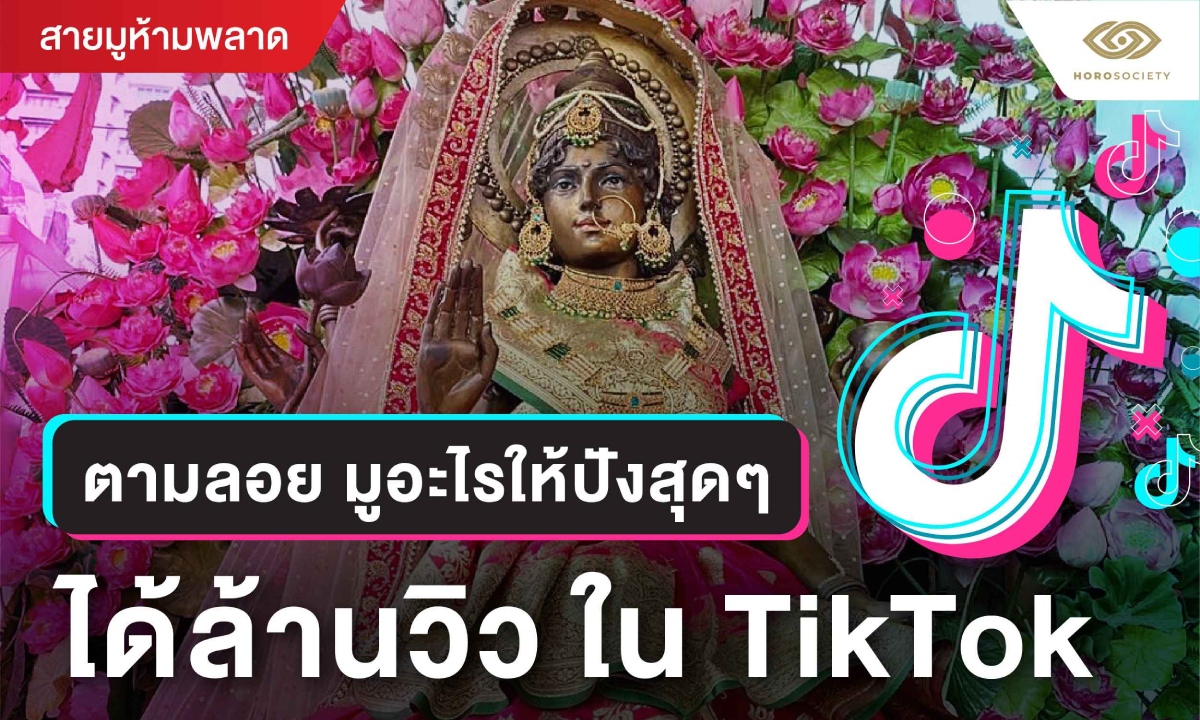 ตามรอย มูอะไรให้ปังสุดๆ ได้ล้านวิว ใน TikTok