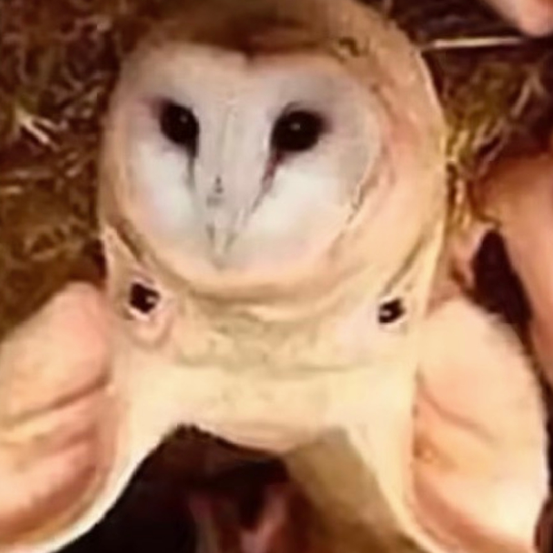 แบบทดสอบสมอง