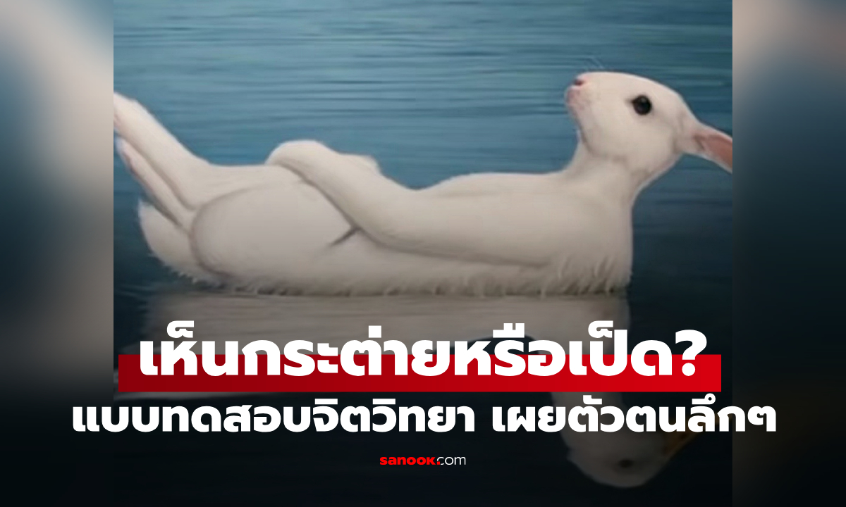 คุณเห็นอะไรก่อน กระต่ายหรือเป็ด? แบบทดสอบตัวตนที่แท้จริงของคุณในใจลึก ๆ