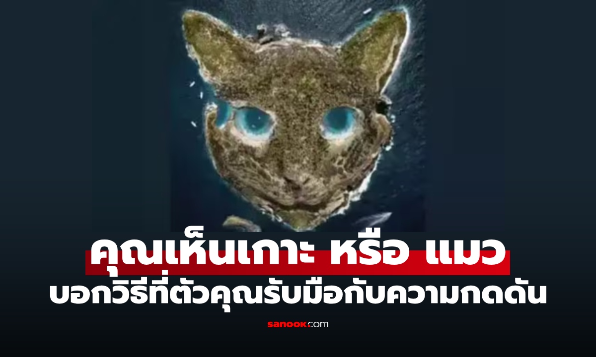 คุณเห็นอะไรก่อนกัน แมว หรือ เกาะ บ่งบอกถึงวิธีรับมือกับความกดดันของตัวคุณเอง