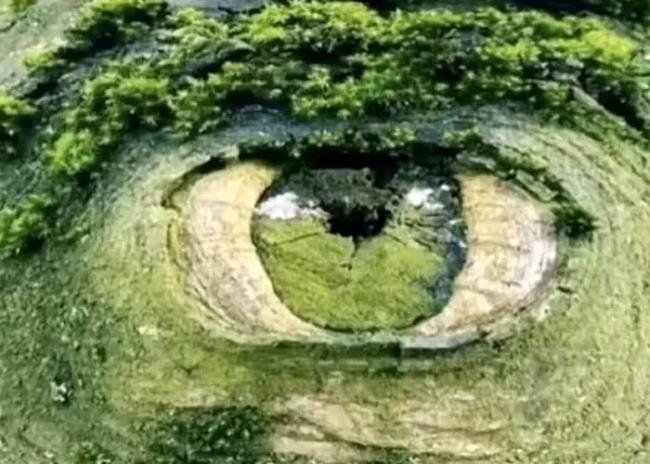 แบบทดสอบ ภาพลวงตา