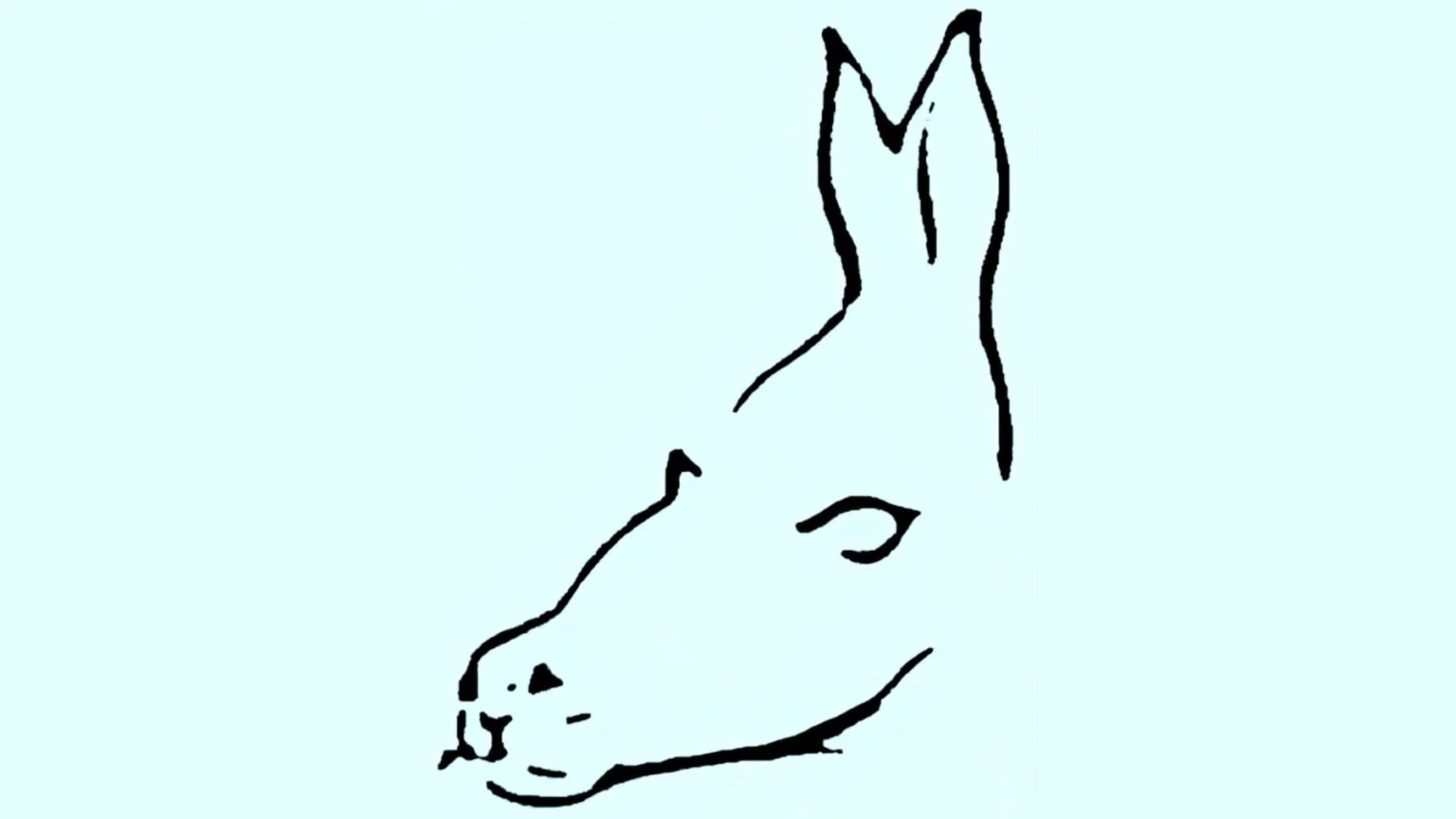 แบบทดสอบจากภาพลวงตา