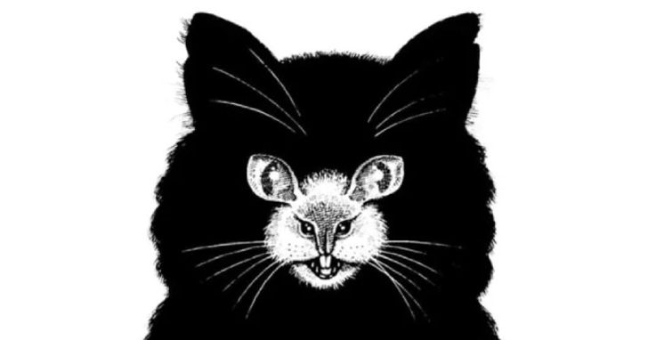 แบบทดสอบ ภาพลวงตา ทายนิสัย