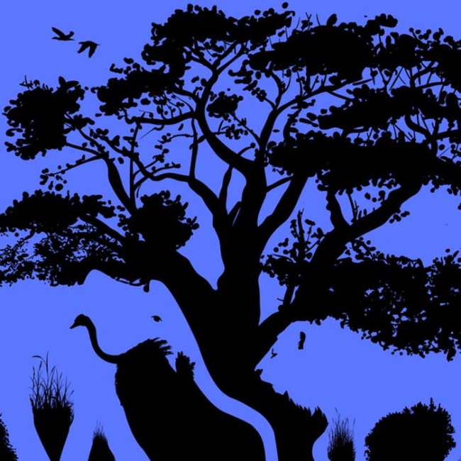 แบบทดสอบ ภาพลวงตา