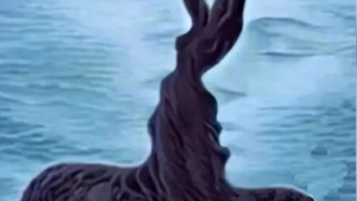 ภาพทายนิสัย