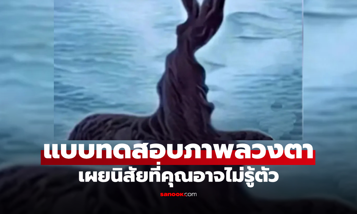 แบบทดสอบภาพลวงตา คุณเห็นอะไรก่อนกัน เฉลยนิสัยลึก ๆ ที่คุณอาจไม่รู้ตัว