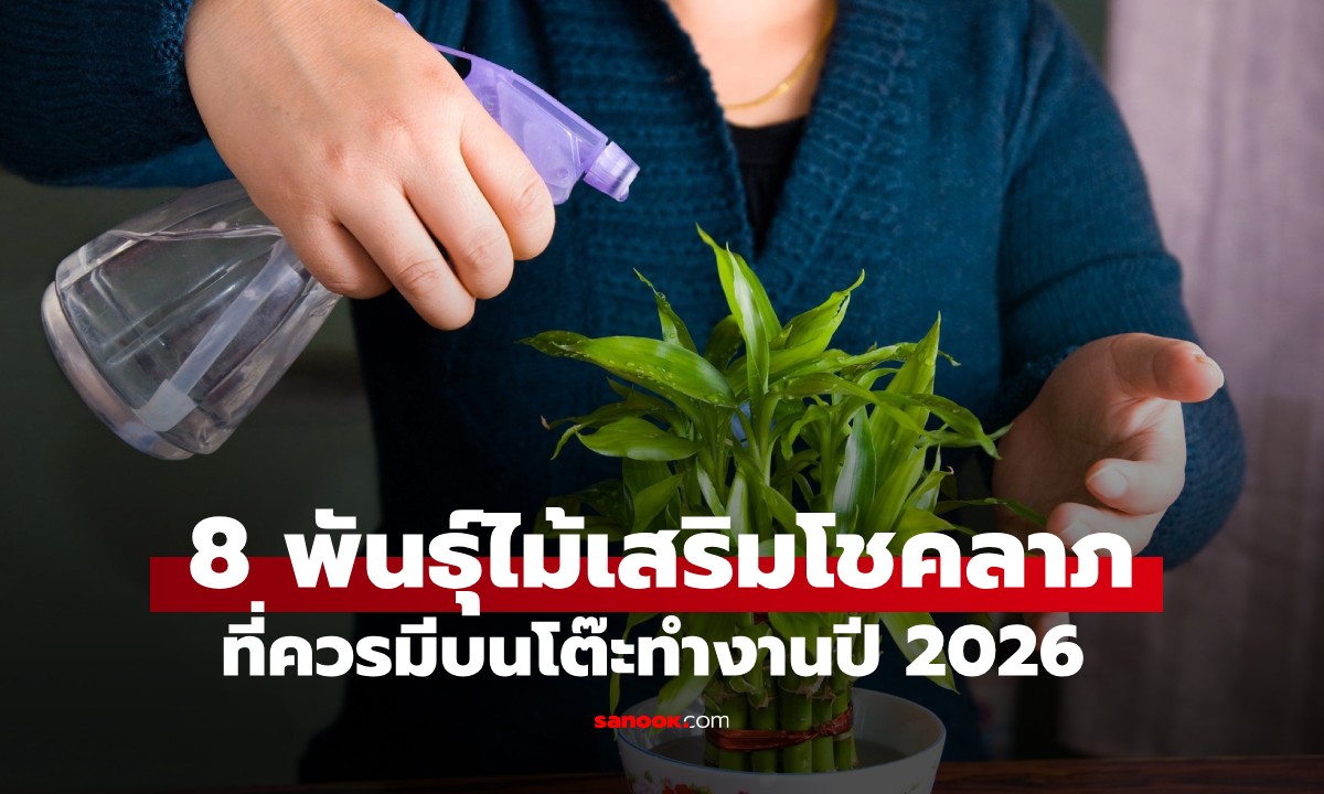 8 สุดยอดต้นไม้ "เรียกทรัพย์" วางบนโต๊ะทำงาน เสริมดวงการเงินปี 2026!