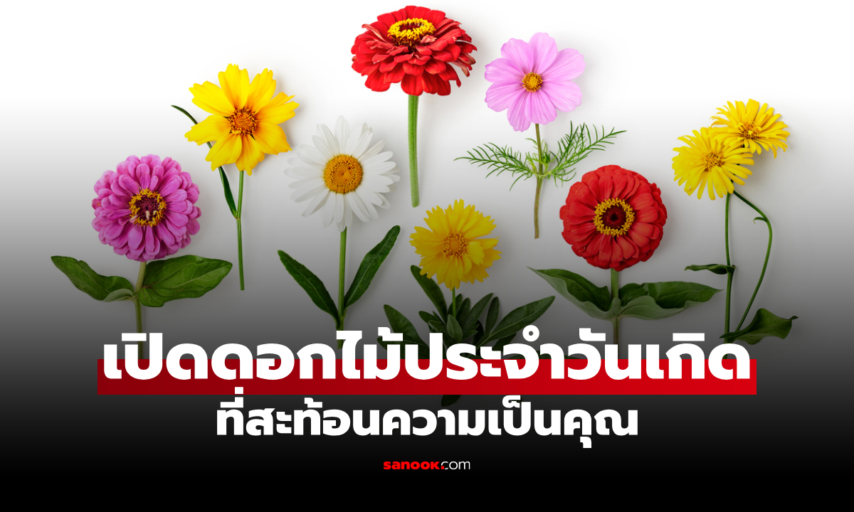 เช็กดอกไม้ประจำวันเกิด เปิดความหมายลึกซึ้งที่สะท้อนความเป็นตัวคุณ