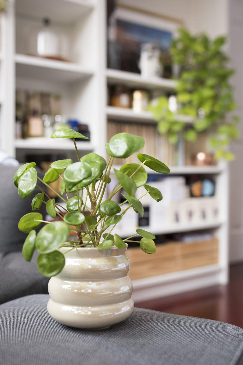 ฮวงจุ้ยบ้าน 2569