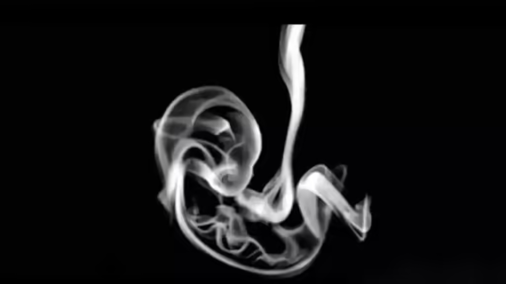 แบบทดสอบทายนิสัย