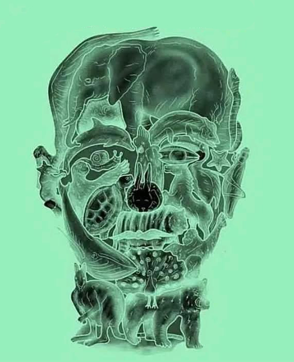 แบบทดสอบทายนิสัย