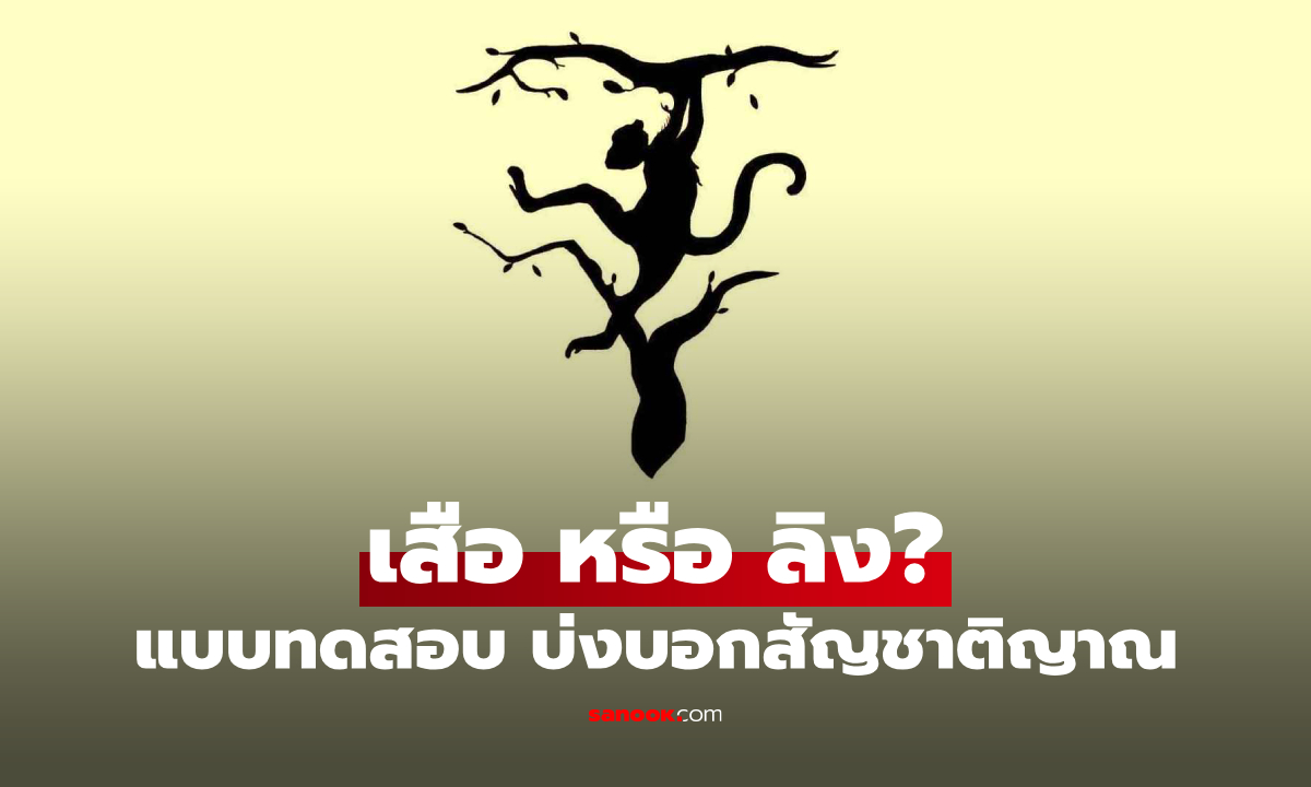 เสือ หรือ ลิง เห็นอะไรก่อนกัน แบบทดสอบ บ่งบอก "สัญชาตญาณ" ในตัวคุณ