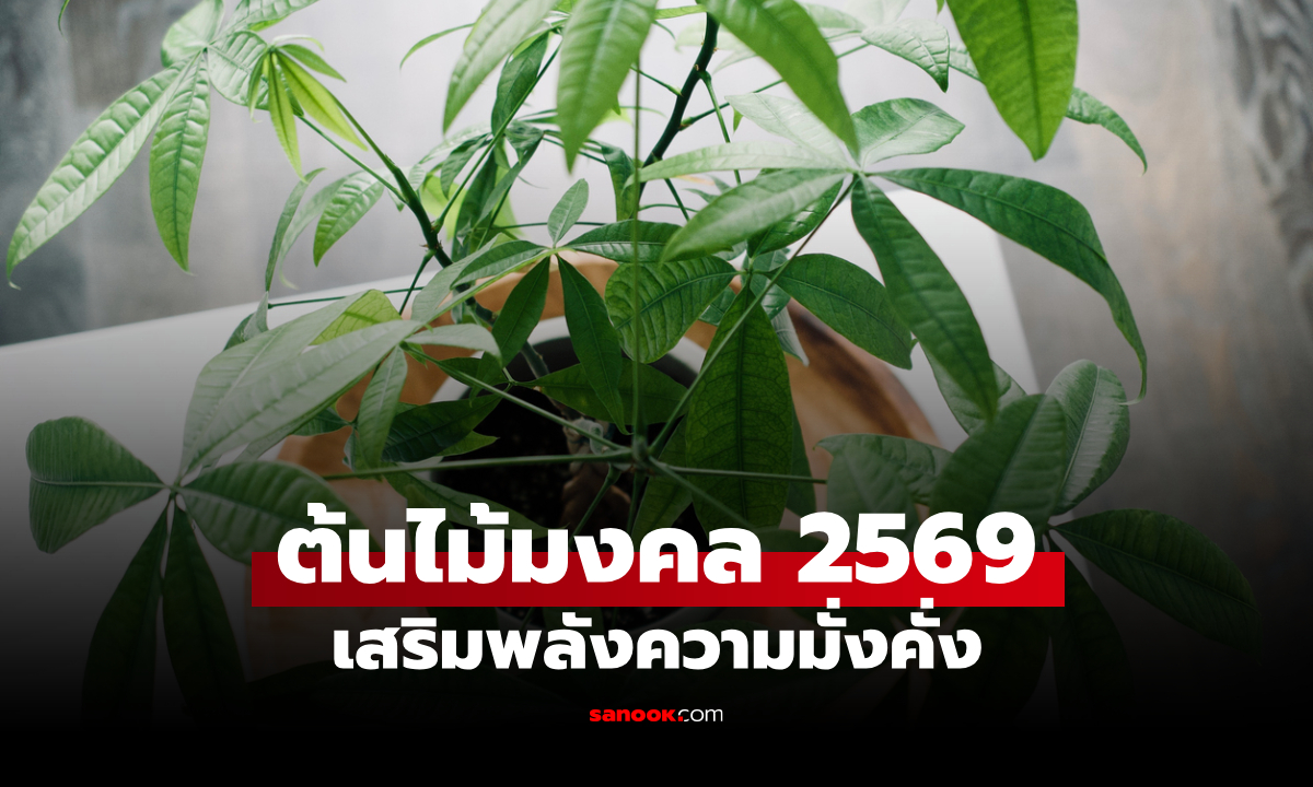ปลูกแล้วมั่งคั่ง! ต้นไม้มงคล ปี 2569 เสริมดวง ปัดเป่าพลังร้าย คุ้มครองบ้าน