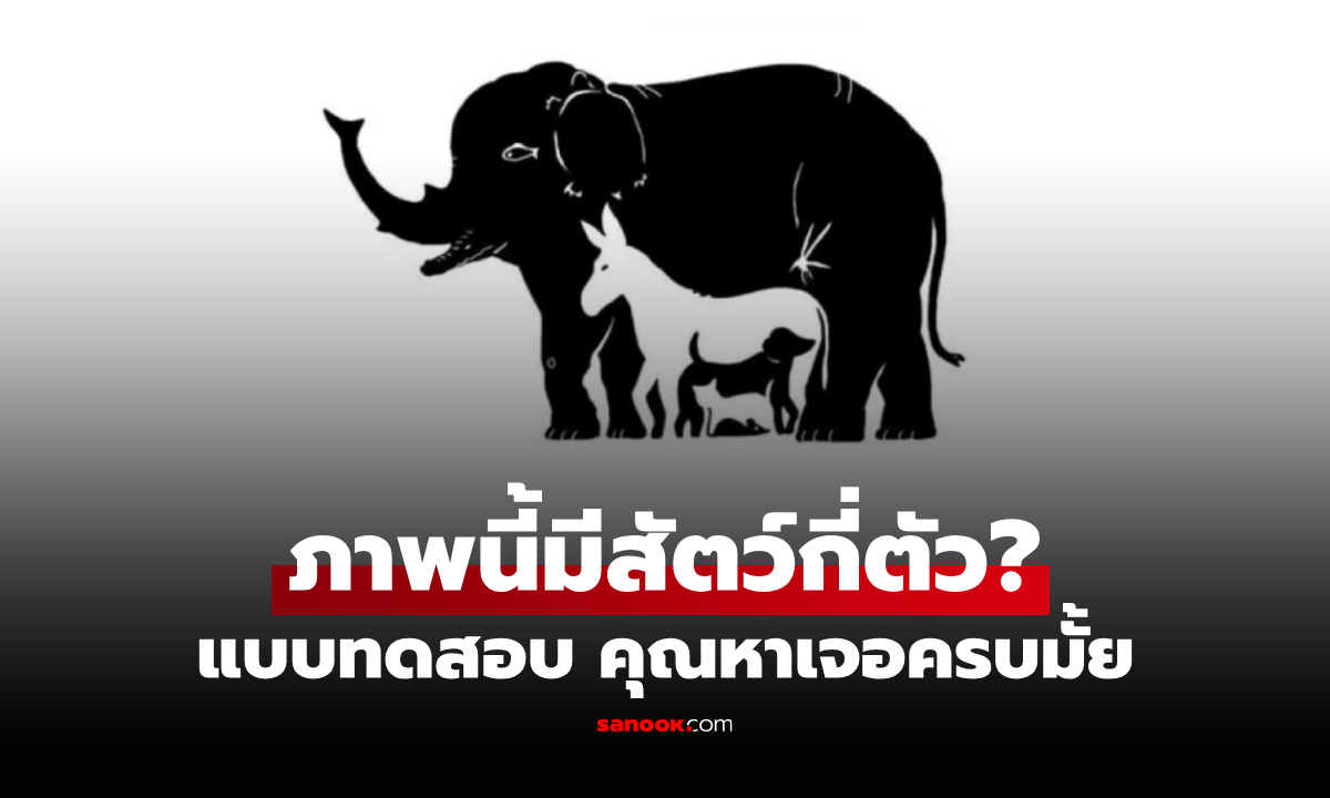 แบบทดสอบการสังเกต "ภาพนี้มีสัตว์กี่ตัว?" คุณตอบได้ไหม ใบ้ให้ว่ามี 13 ชนิด!