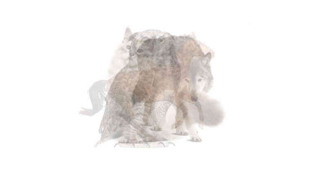 แบบทดสอบจิตวิทยา ความสามารถพิเศษ