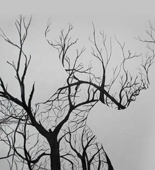 แบบทดสอบภาพลวงตา