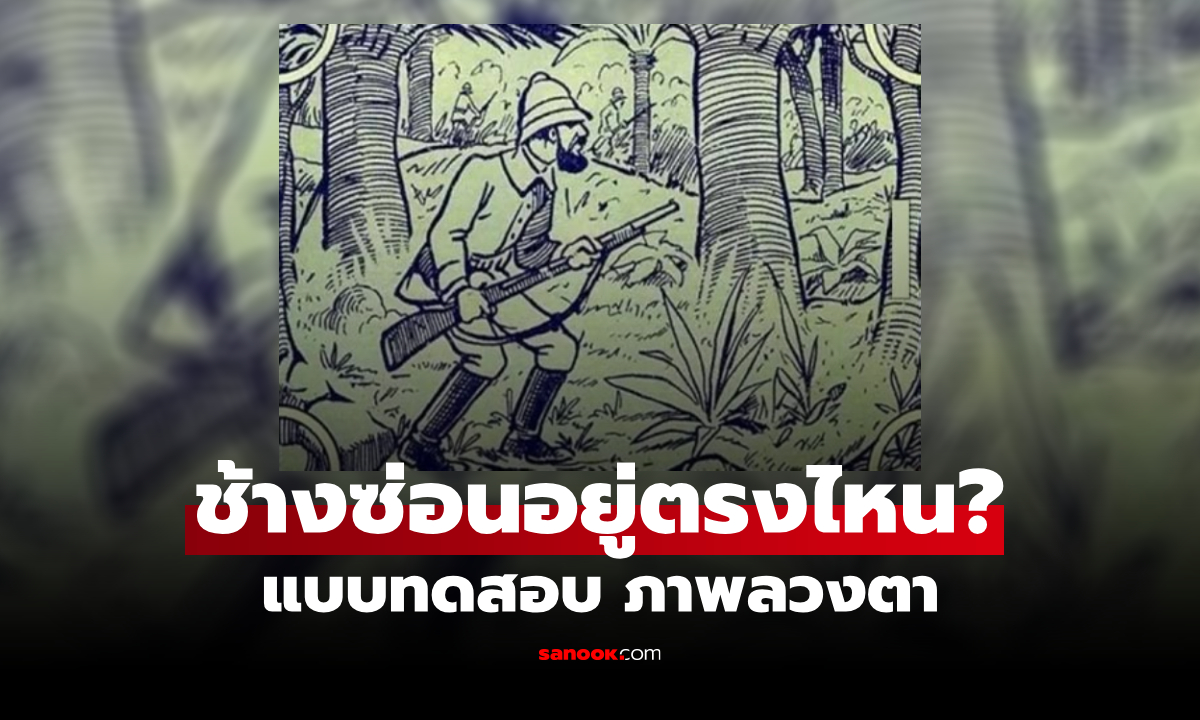 เห็น "ช้าง" ที่ซ่อนอยู่ไหม? แบบทดสอบภาพลวงตา มีเพียง 1% เท่านั้นที่หาเจอ!