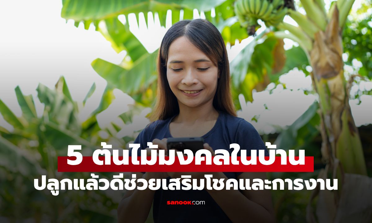 5 ต้นไม้มงคล ปลูกในบ้านแล้วดี เสริมโชค หนุนหน้าที่การงานรุ่งเรือง