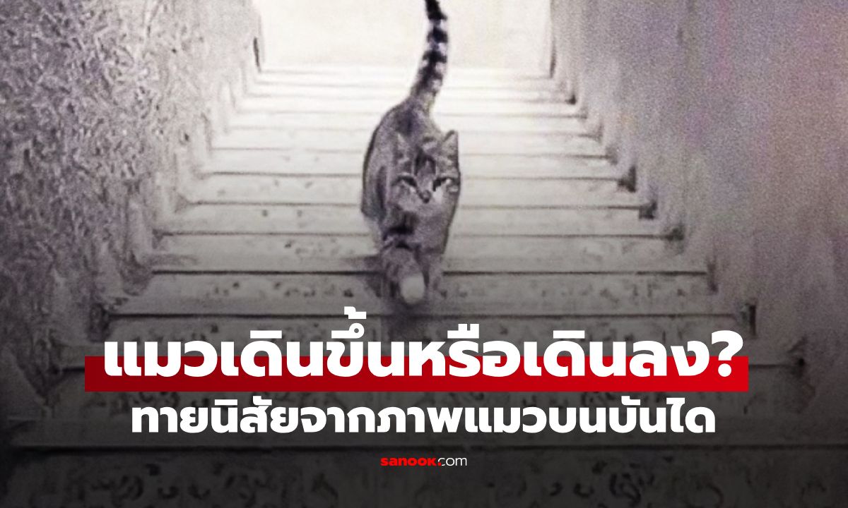 แมวเดินขึ้นหรือเดินลงบันได? คำตอบที่คุณเห็น สะท้อนวิธีคิดของคุณ