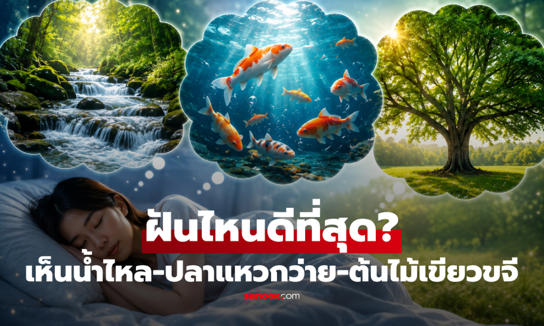 ฝันเห็นน้ำไหล-ปลาแหวกว่าย-ต้นไม้เขียวขจี หมายถึงอะไร? แบบไหนถือเป็นลางดีที่สุด