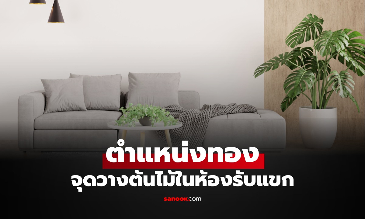 เปิด  3 "ตำแหน่งทอง" จุดวาง "ต้นไม้" ในห้องรับแขก ตามความเชื่อฮวงจุ้ย