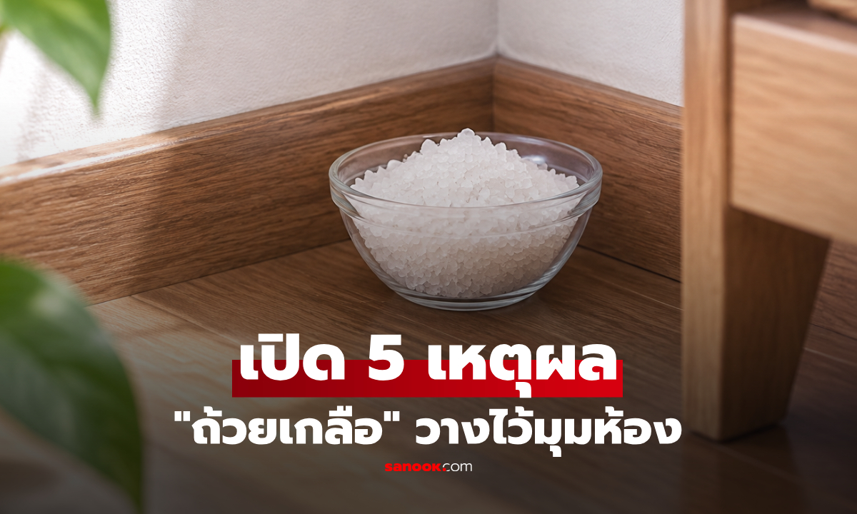 5 เหตุผล ที่คนทั่วโลกนิยมวาง "ถ้วยเกลือ" ไว้ตามมุมห้อง! เปิดความเชื่อโบราณ-หลักฮวงจุ้ย