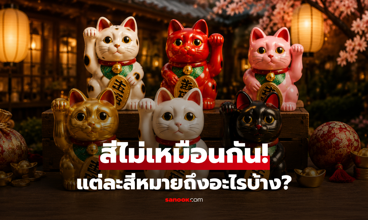 เปิดความลับ "แมวกวักญี่ปุ่น" ทำไมต้องยกมือเรียกโชค? แล้วแต่ละสีหมายถึงอะไร?