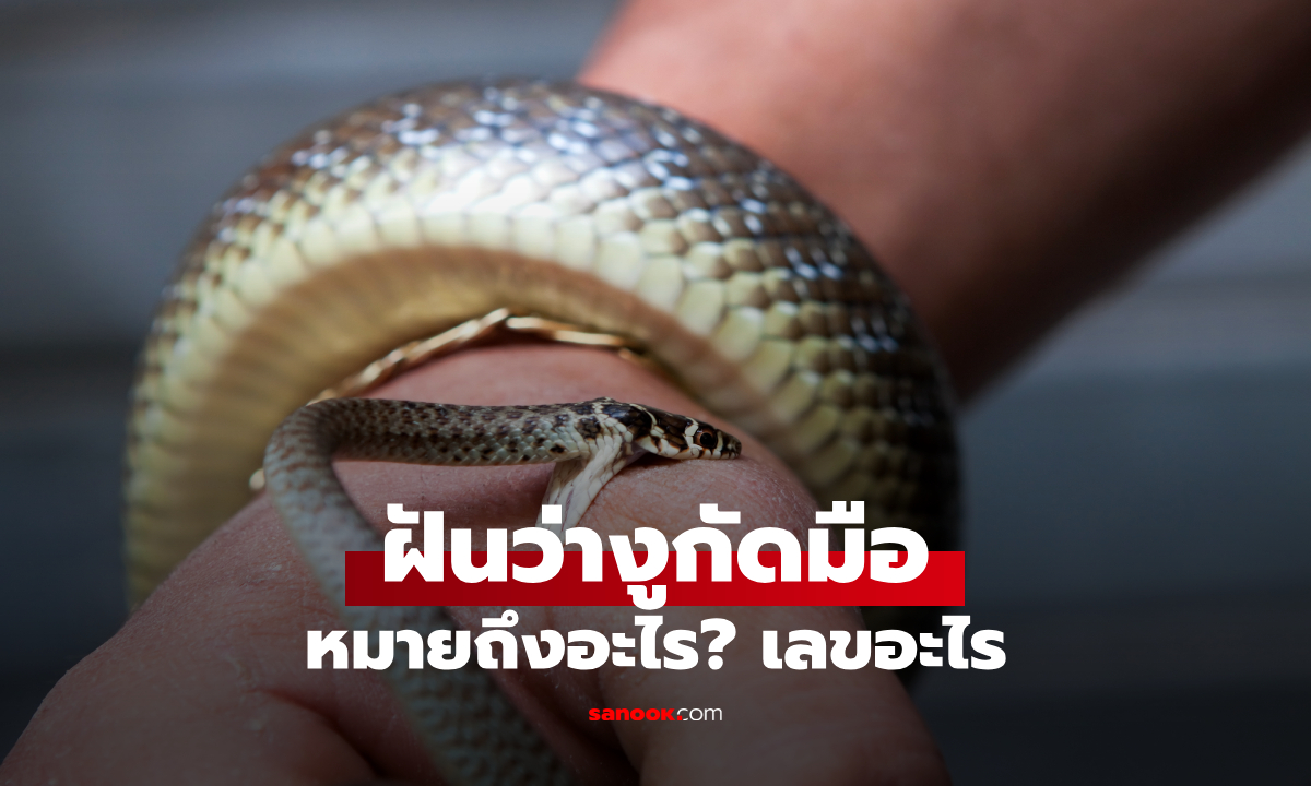 ฝันว่างูกัดมือ มือขวา มือซ้าย ทำนายฝันว่าอะไร? พร้อมเลขเด็ด เลขมงคล