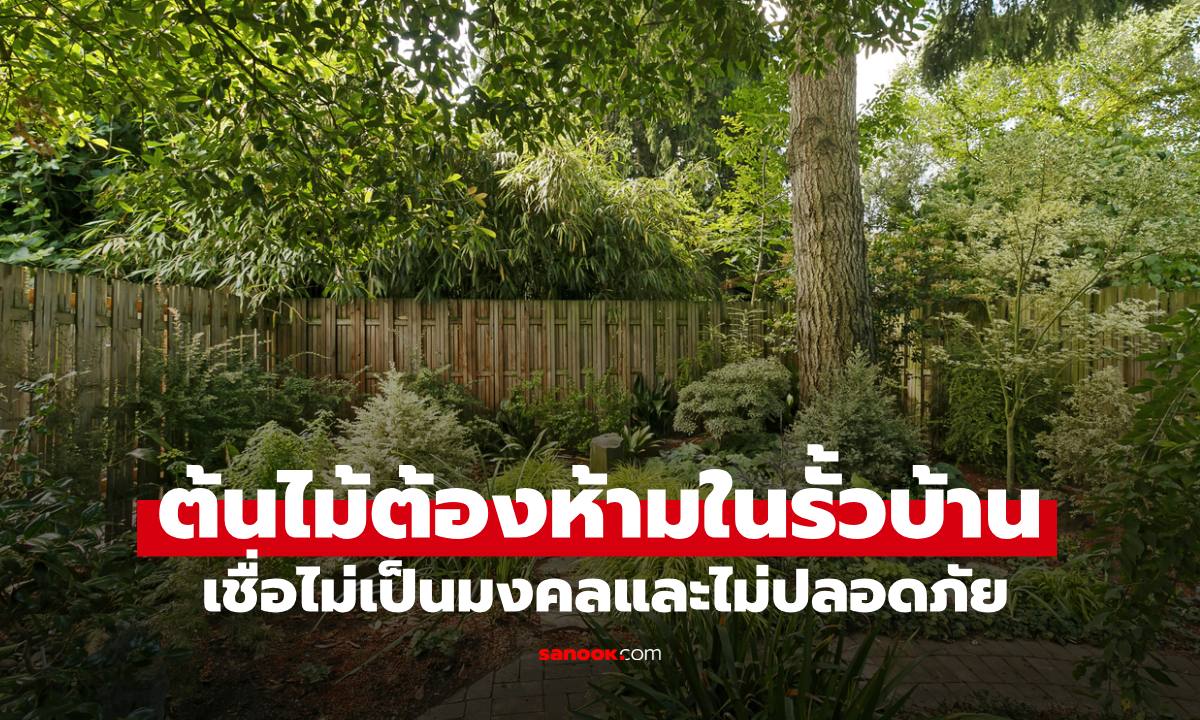 "ต้นไม้ต้องห้าม" ไม่ควรปลูกในรั้วบ้าน ตามความเชื่อไม่เป็นมงคล