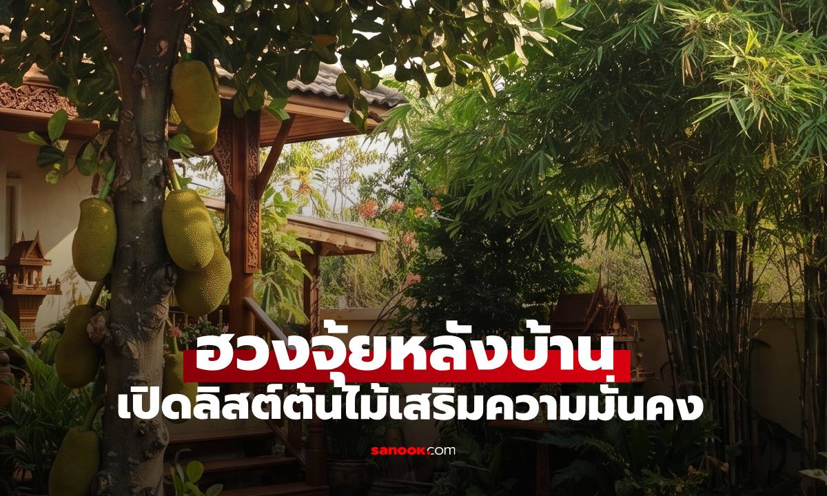 ฮวงจุ้ยหลังบ้านเสริมความมั่นคง รวมต้นไม้ปลูกหลังบ้าน หนุนดวงชะตาครอบครัว