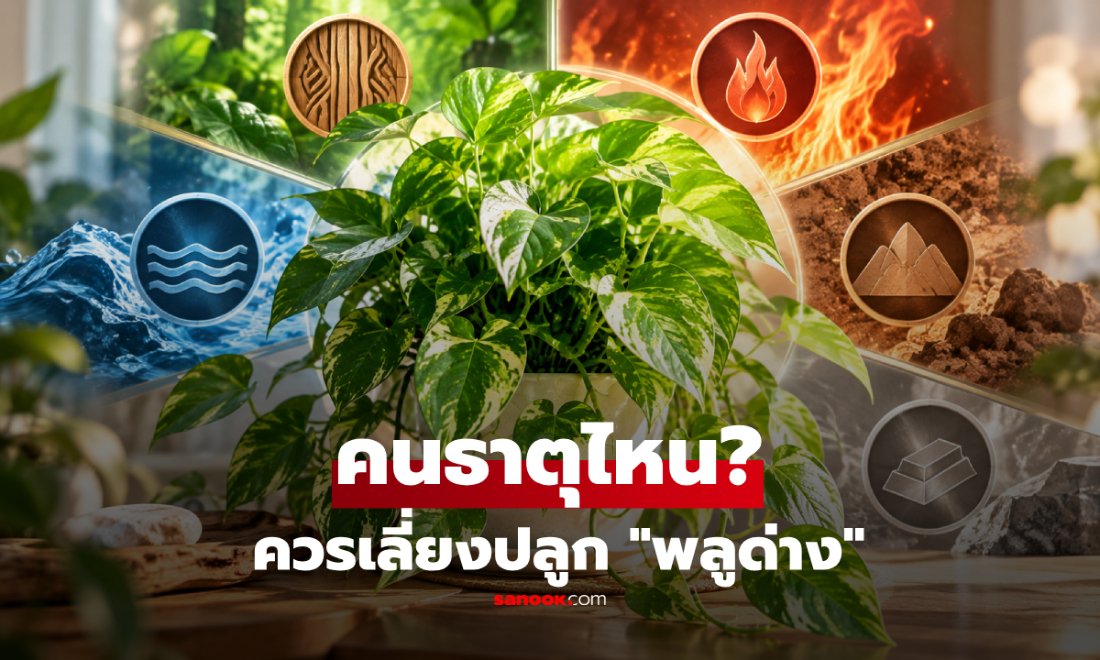 "พลูด่าง" คนธาตุไหนควรเลี่ยงปลูก? เปิดความเชื่อฮวงจุ้ย พร้อมจุดวางเสริมความมงคลในบ้าน!