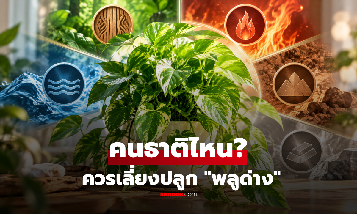 "พลูด่าง" คนธาตุไหนควรเลี่ยงปลูก? เปิดความเชื่อฮวงจุ้ย พร้อมจุดวางเสริมความมงคลในบ้าน!