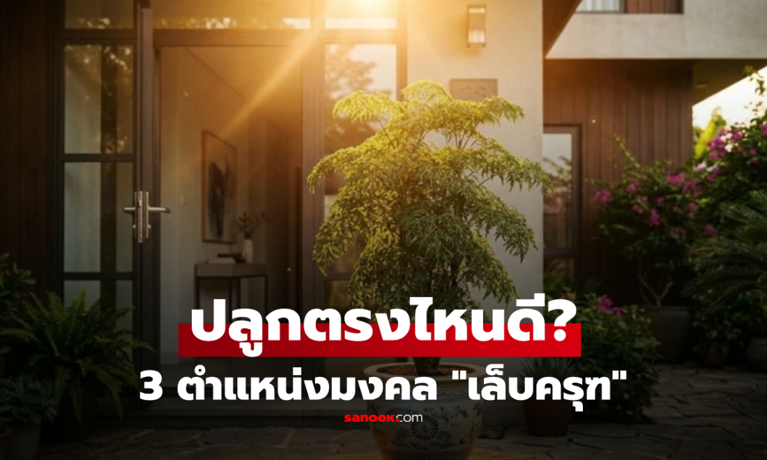 เปิด 3 จุดมงคล "ต้นเล็บครุฑ" เชื่อเสริมโชคลาภ-เงินทองไหลมา ปลูกตรงไหนดีที่สุด?