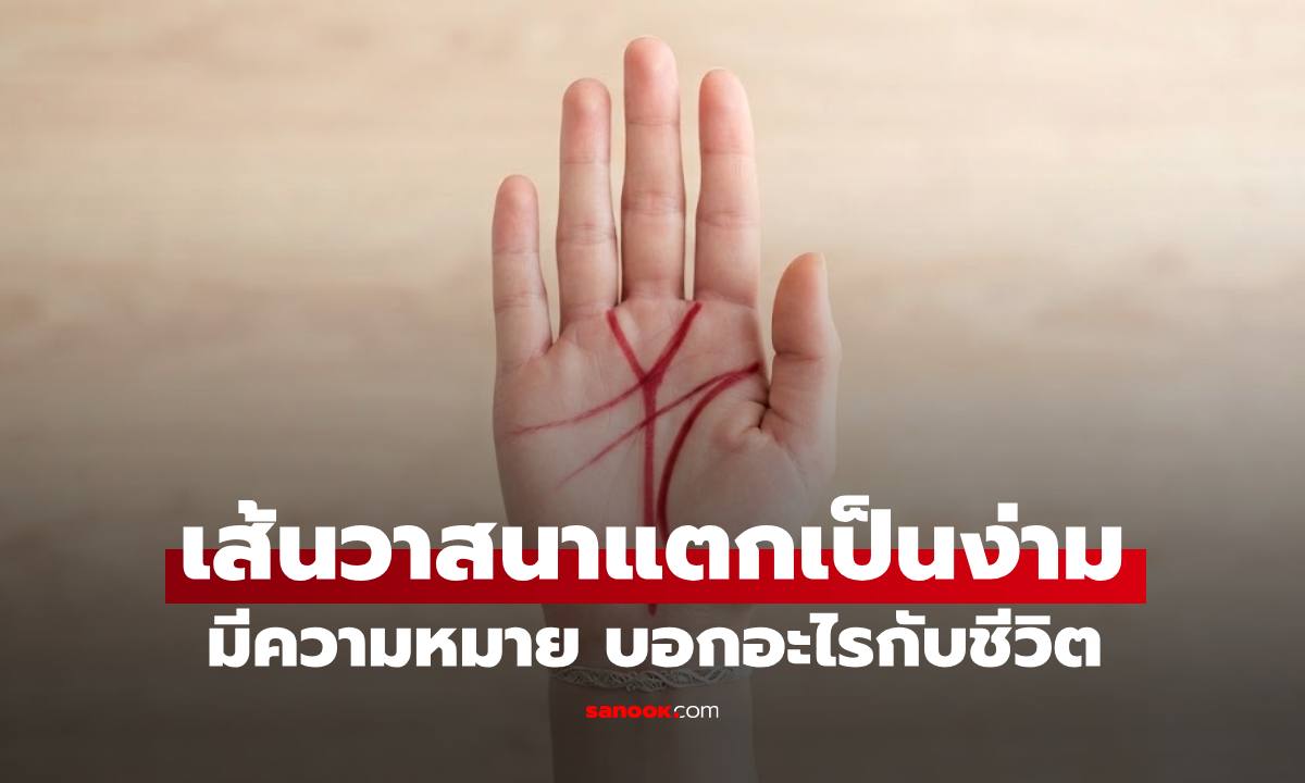 ดูลายมือ "เส้นวาสนาแตกเป็นง่าม" มีความหมายบอกอะไรกับชีวิต