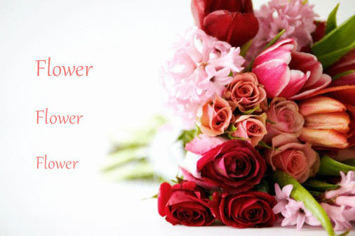 ดอกไม้ประจำวันเกิดบอกพื้นฐานดวงคุณได้